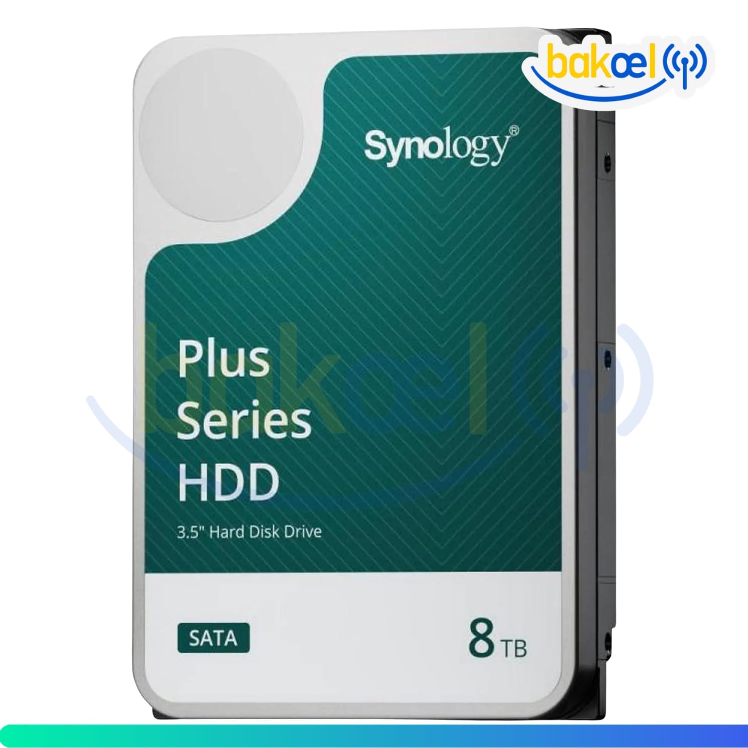 SYNOLOGY-HAT3300-8T 2